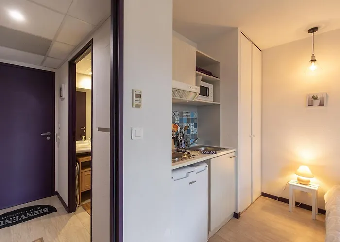 Appartement Tithome 1 - Gare, Centre Ville, Vue Montagne Et Chateau Lourdes