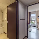 Apartamento Tithome 1 - Gare, Centre Ville, Vue Montagne Et Chateau Lourdes